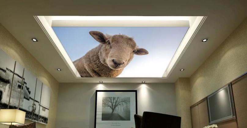 Потолки с фотопечатью